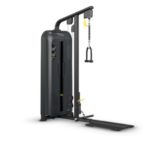 Standing Biceps / Triceps