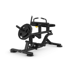 Seated Calf Raise