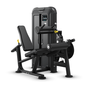 Seated Leg Curl