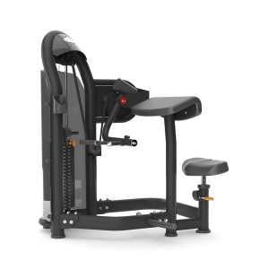 Aura Arm Curl