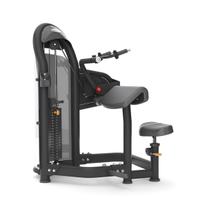 Aura Tricep Extension