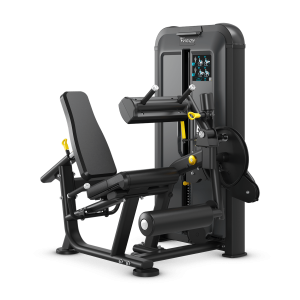 Leg Extension / Leg Curl