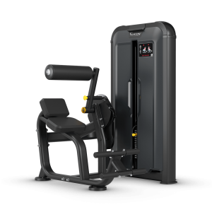 Back Extension