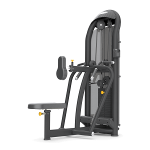 Aura Diverging Seated Row