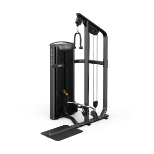 Versa Bicep / Tricep