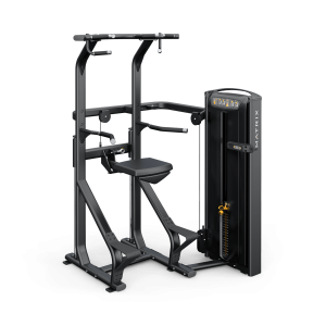 Versa Chin / Dip Assist