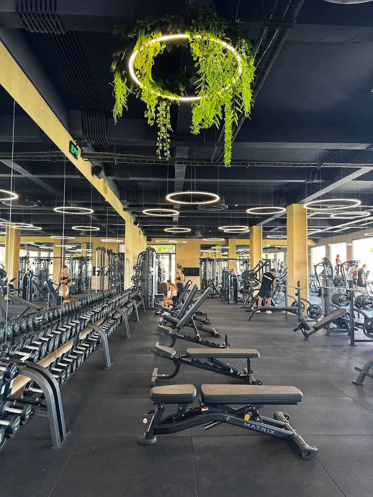 Omni Wellness 05